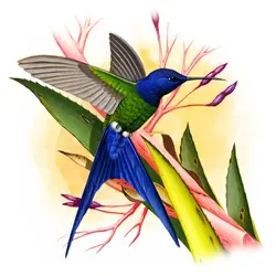 Imagem que representa uma pintura do pet Beija-flor