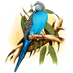 Imagem que representa uma pintura do pet Periquito Australiano