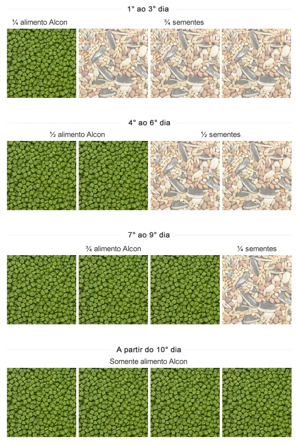 Imagem da tabela de transição de sementes para o Alcon Club Coleiro Green