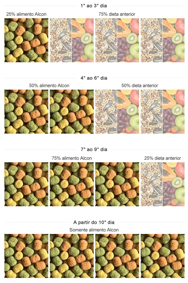 Imagem da tabela de transição de sementes para o Alcon Club Psita Bits
