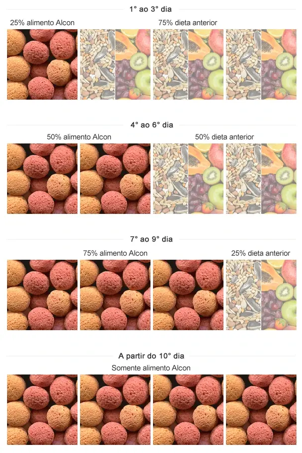 Imagem da tabela de transição de sementes para o Alcon Club Tucanos