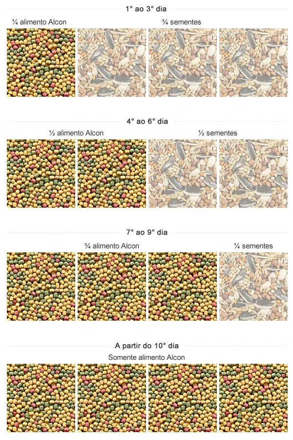 Imagem da tabela de transição de sementes para o Alcon Eco Club Periquito