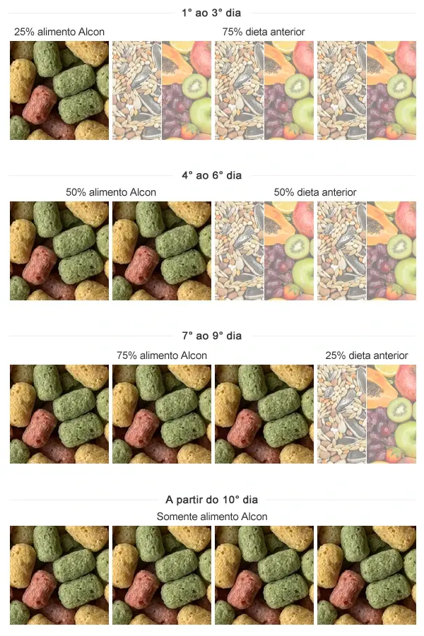 Imagem da tabela de transição de sementes para o Alcon Eco Club Psita Bits
