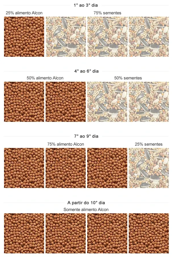 Imagem da tabela de transição de sementes para o Alcon Eco Club Trinca-Ferro
