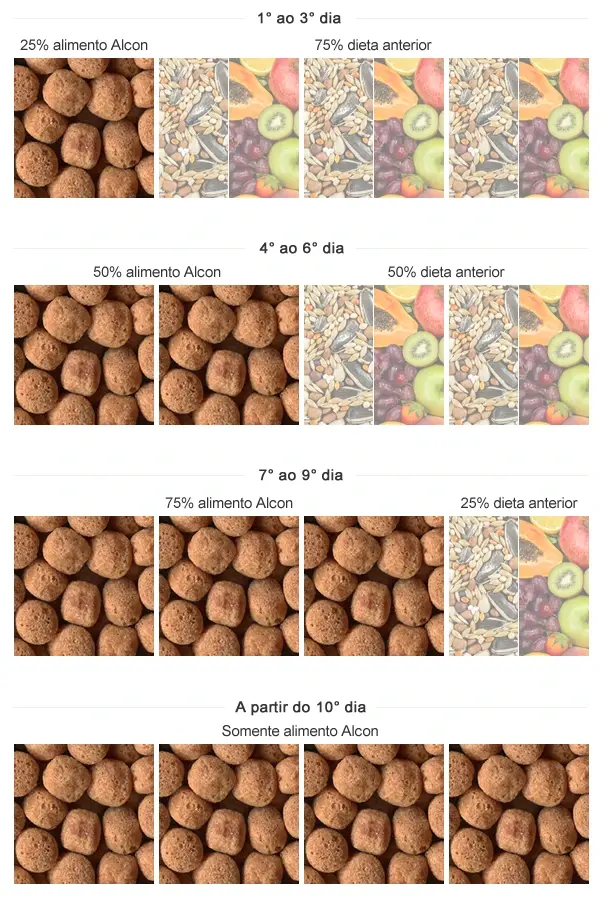 Imagem da tabela de transição de sementes para o Alcon Eco Club Tucanos